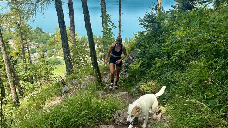 Wandern am Attersee: Über den Schoberstein (1037m) und Mahdlgupf (1261m) zum Dachsteinblick (1559m)