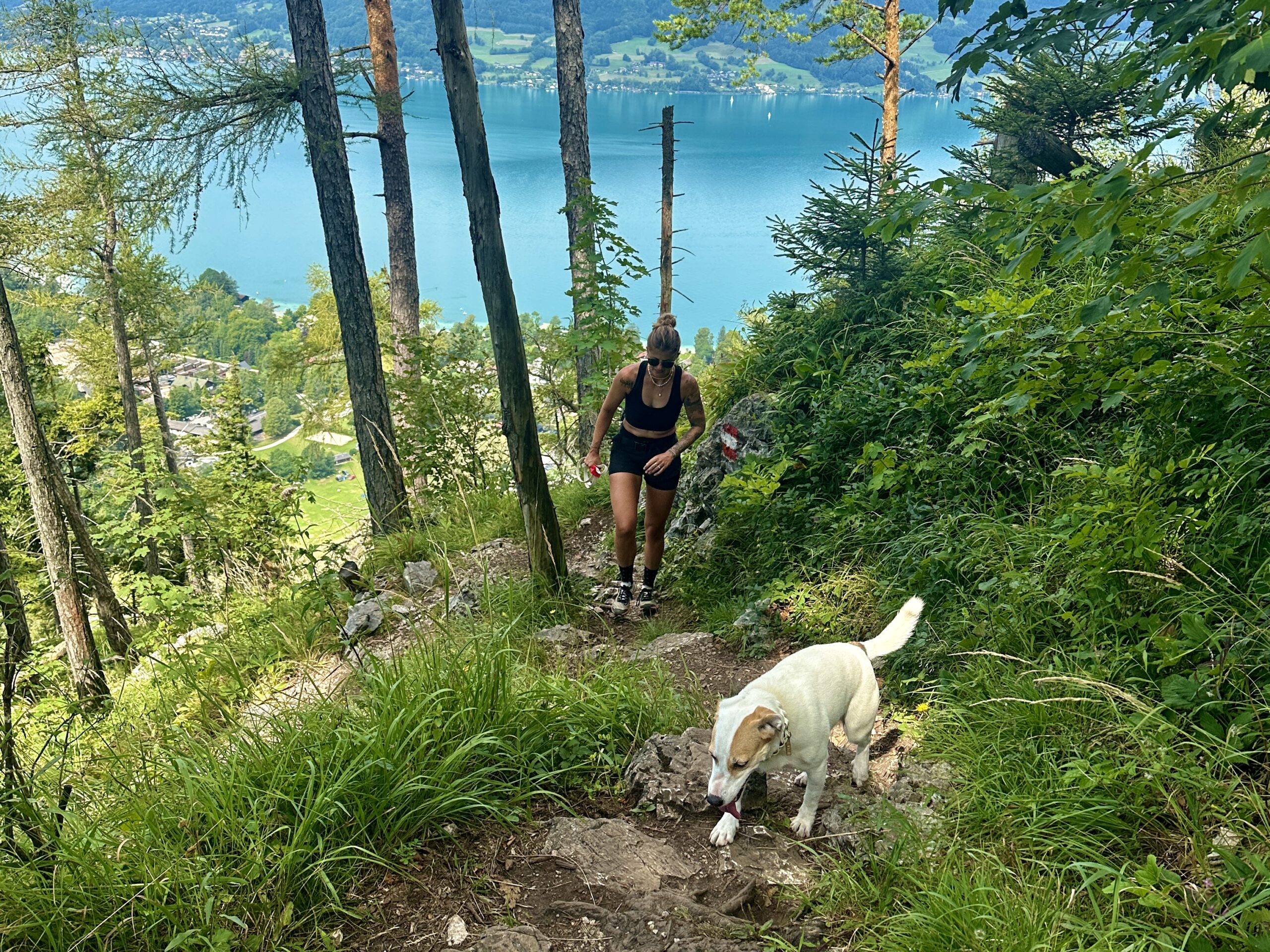 Wandern am Attersee: Über den Schoberstein (1037m) und Mahdlgupf (1261m) zum Dachsteinblick (1559m)