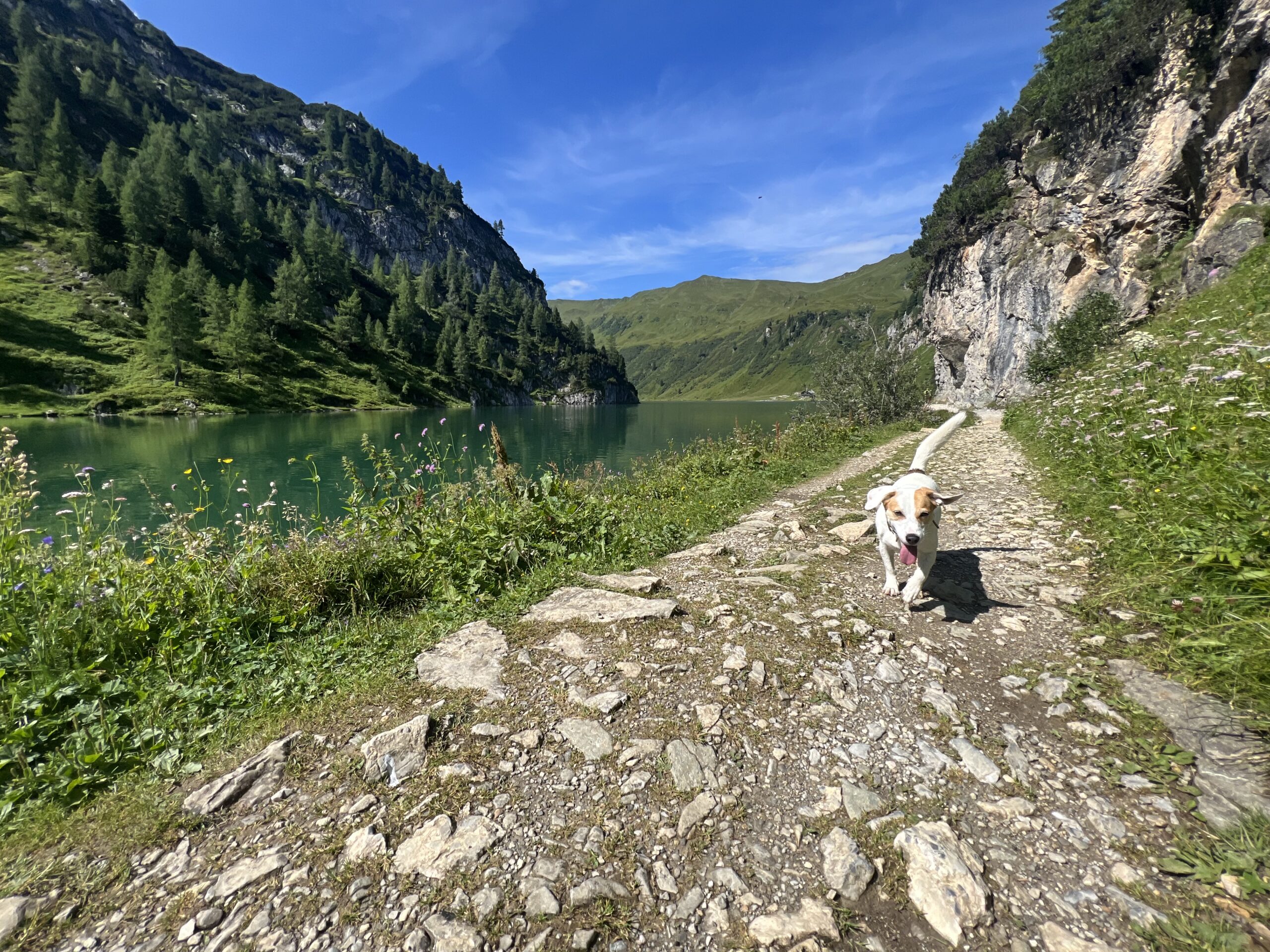 Im Kleinarltal: Über den Tappenkarsee (1762m) zum Weißgrubenkopf (2369m)