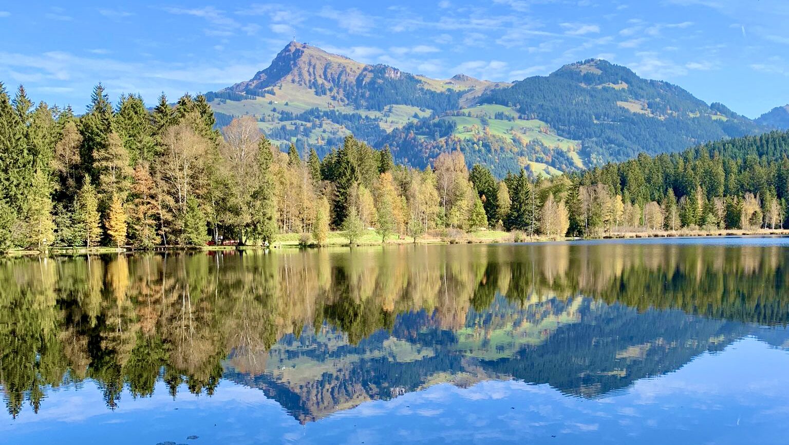 Der hundefreundlichste Seen-Trail Tirol’s: Vom Schwarzsee über den Gieringer Weiher zum Vogelsberg Weiher