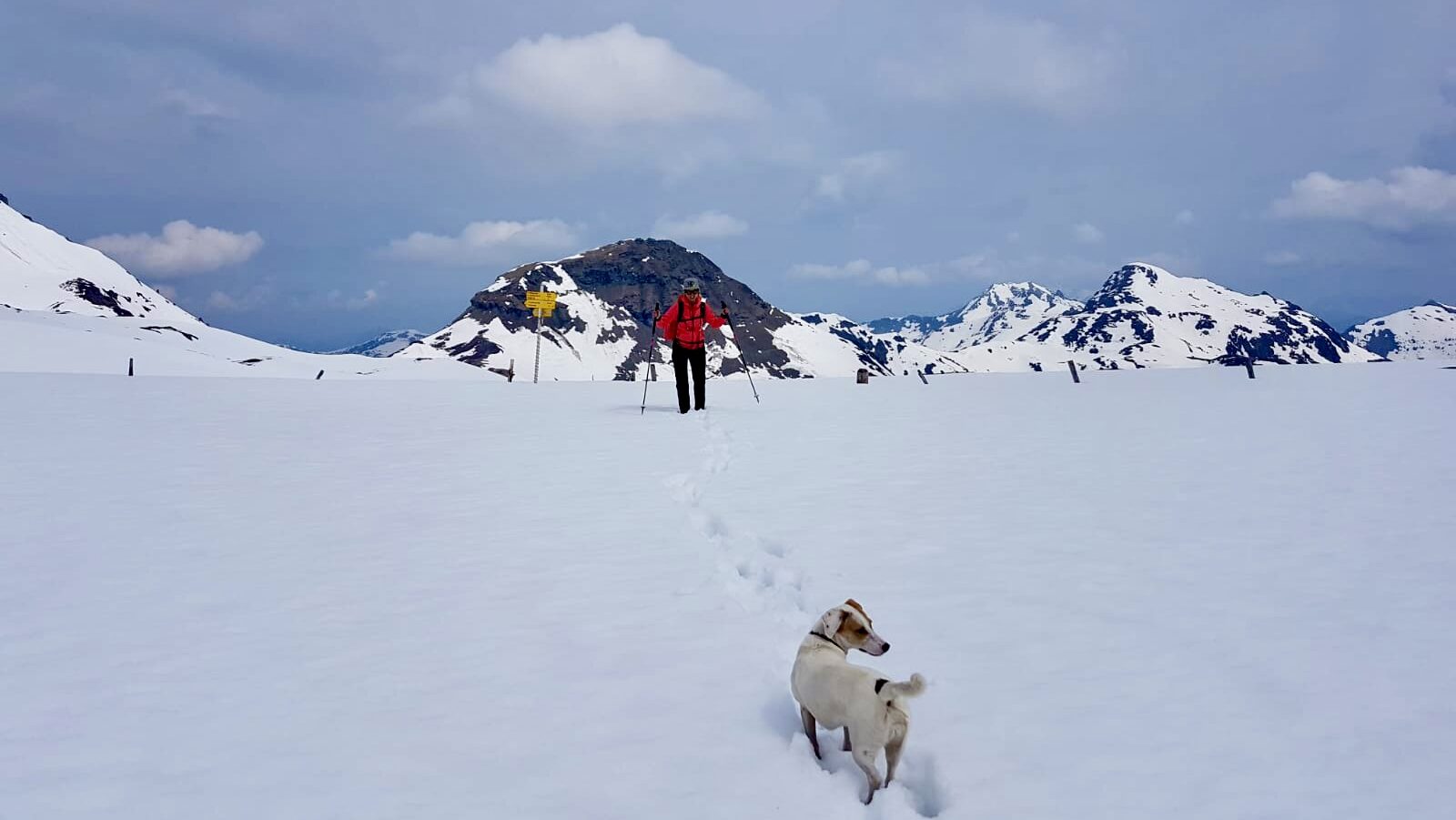 Weitwandern mit Hund: In 2 Tagen über die Kitzbüheler Alpen