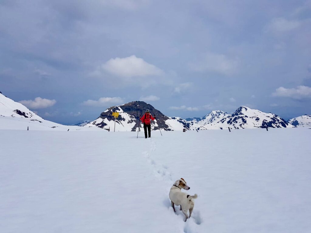 Kitzbüheler Alpen im Frühling