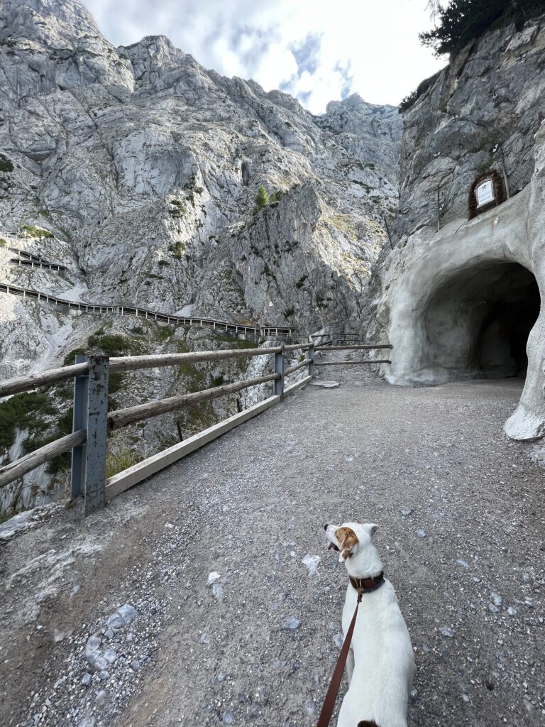 Tunnel wohin das Auge reicht. Die Eisriesenwelt in Werfen.