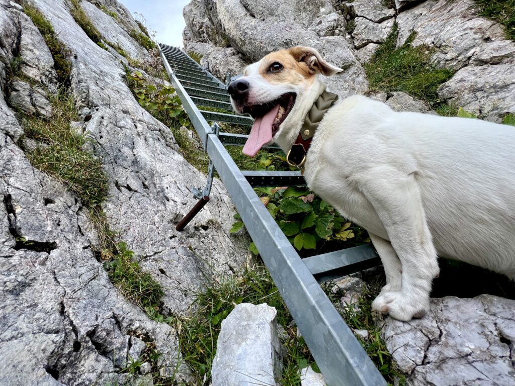 Hochkogelsteig und Kiki sind kein Problem