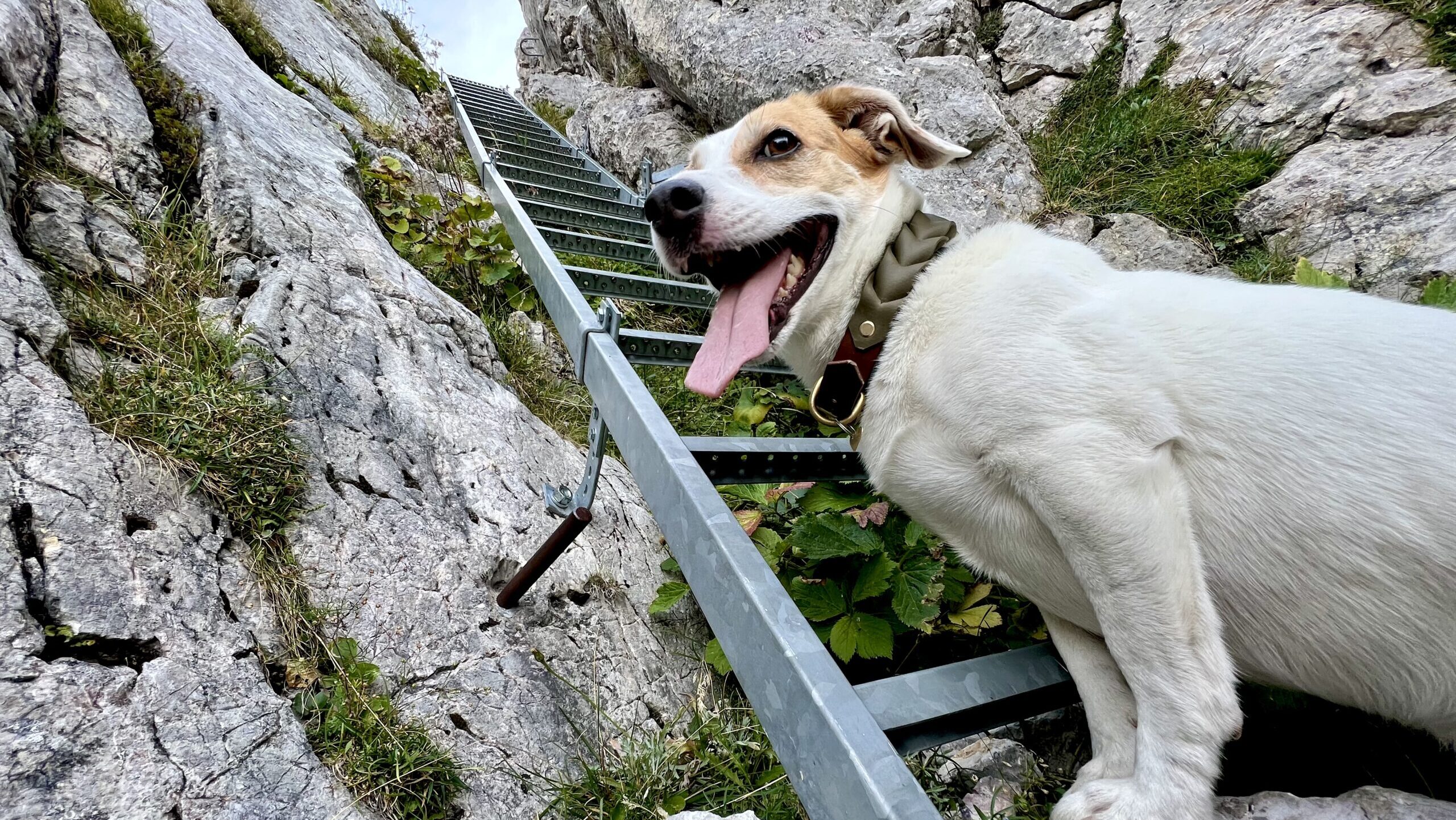 Das Projekt „Tiroler Kogel“ im Tennengebirge: Alle guten Dinge sind 3!