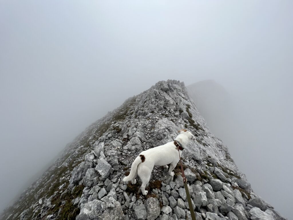 Gipfel vom Tiroler Kogel im Tennengebirge