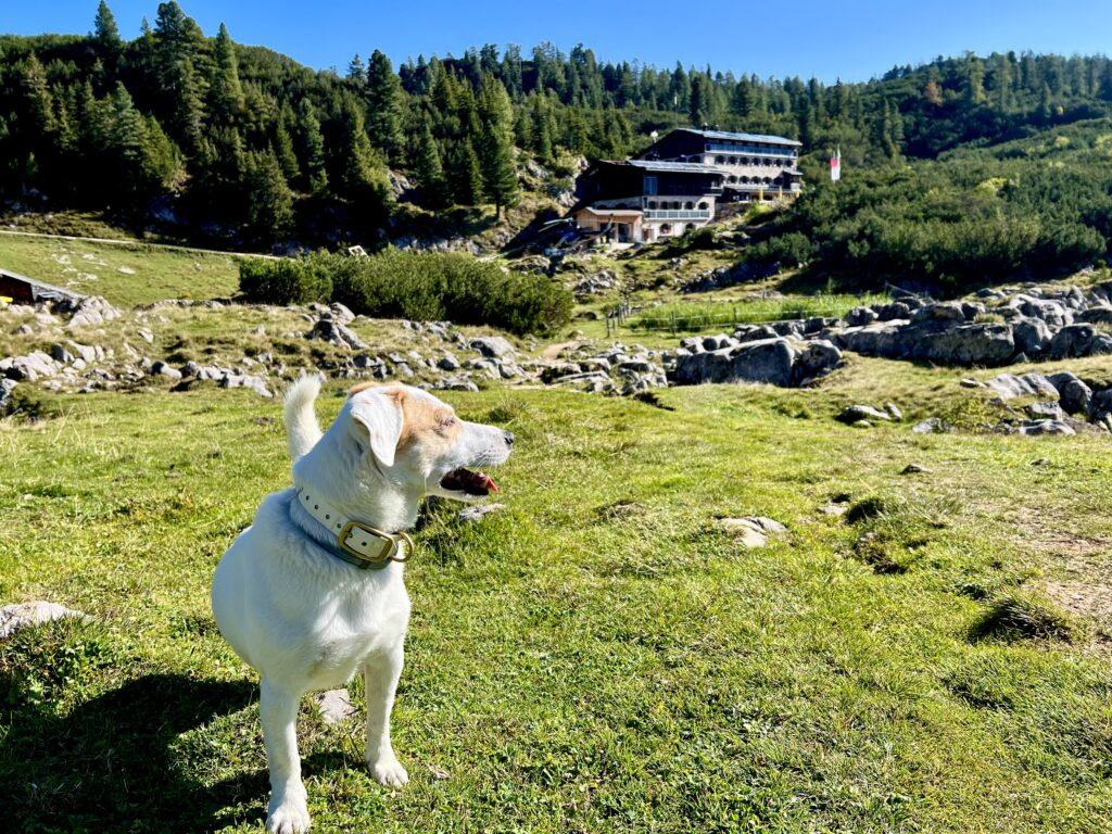 die Neue Traunsteiner Hütte