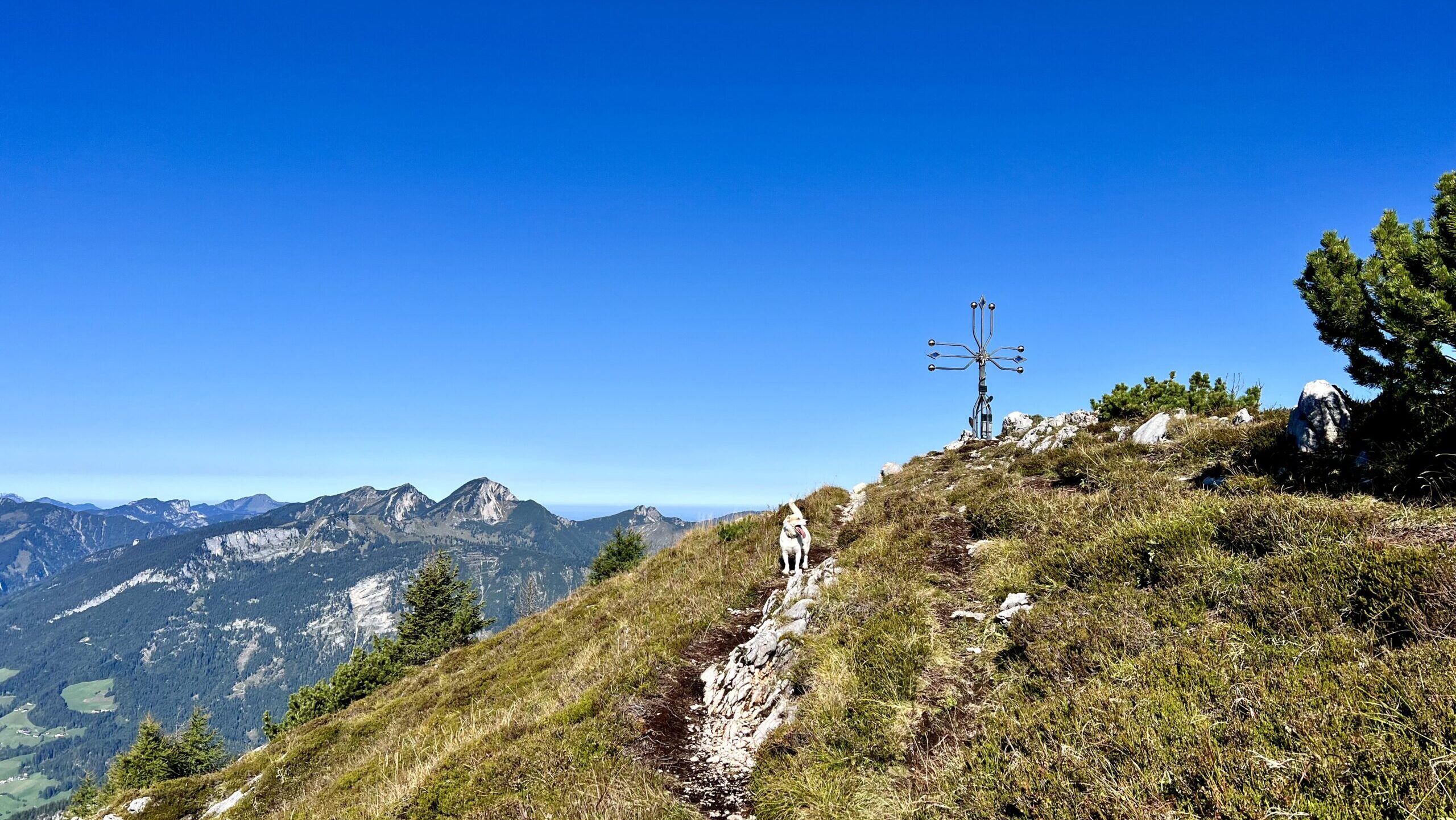 Zu viel Kitsch gibt’s nicht: Die Neue Traunsteiner Hütte und der Große Bruder (1.864 m) auf der Reiter Alm