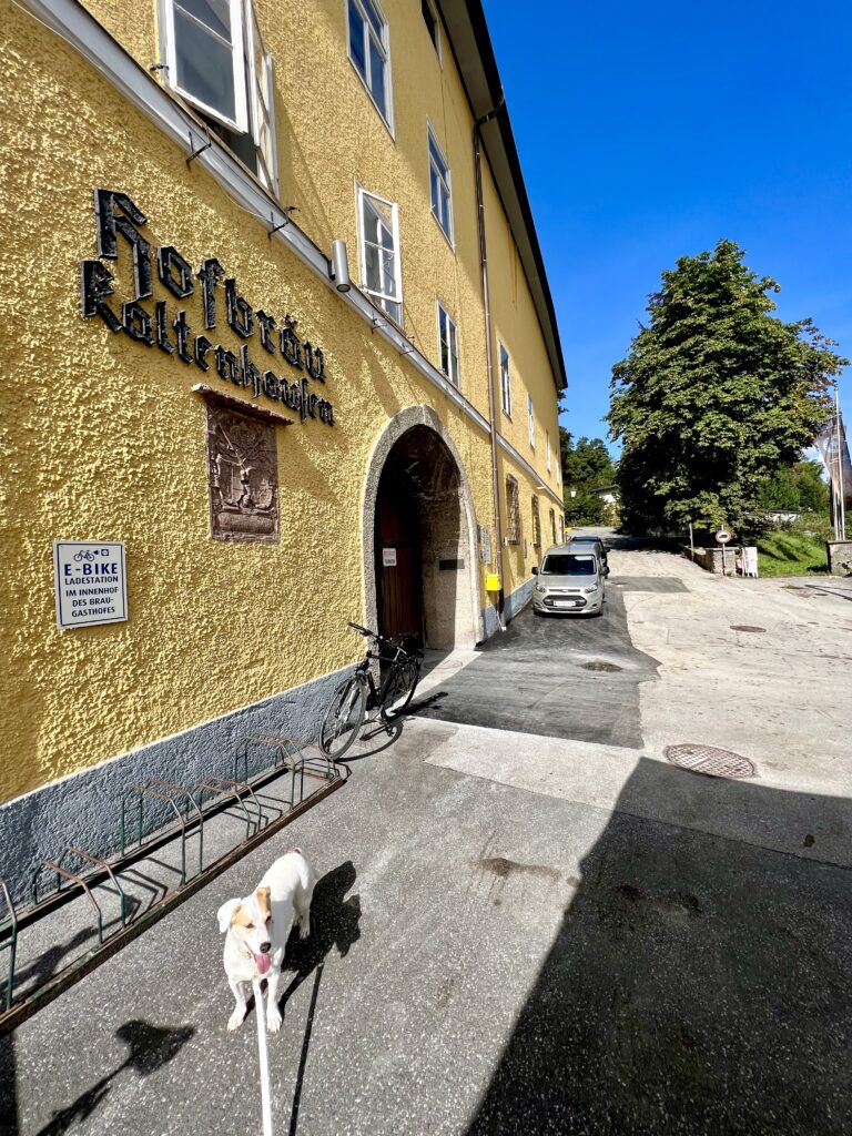 Hofbräu Kaltenhausen, bis hier ist es immer flach