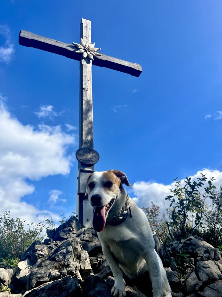 Gipfelkreuz am Großen Barmstein