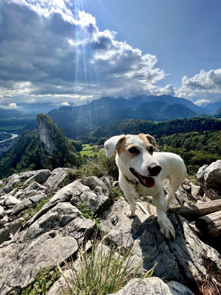 Aussichtspunkt am Großen Barmstein