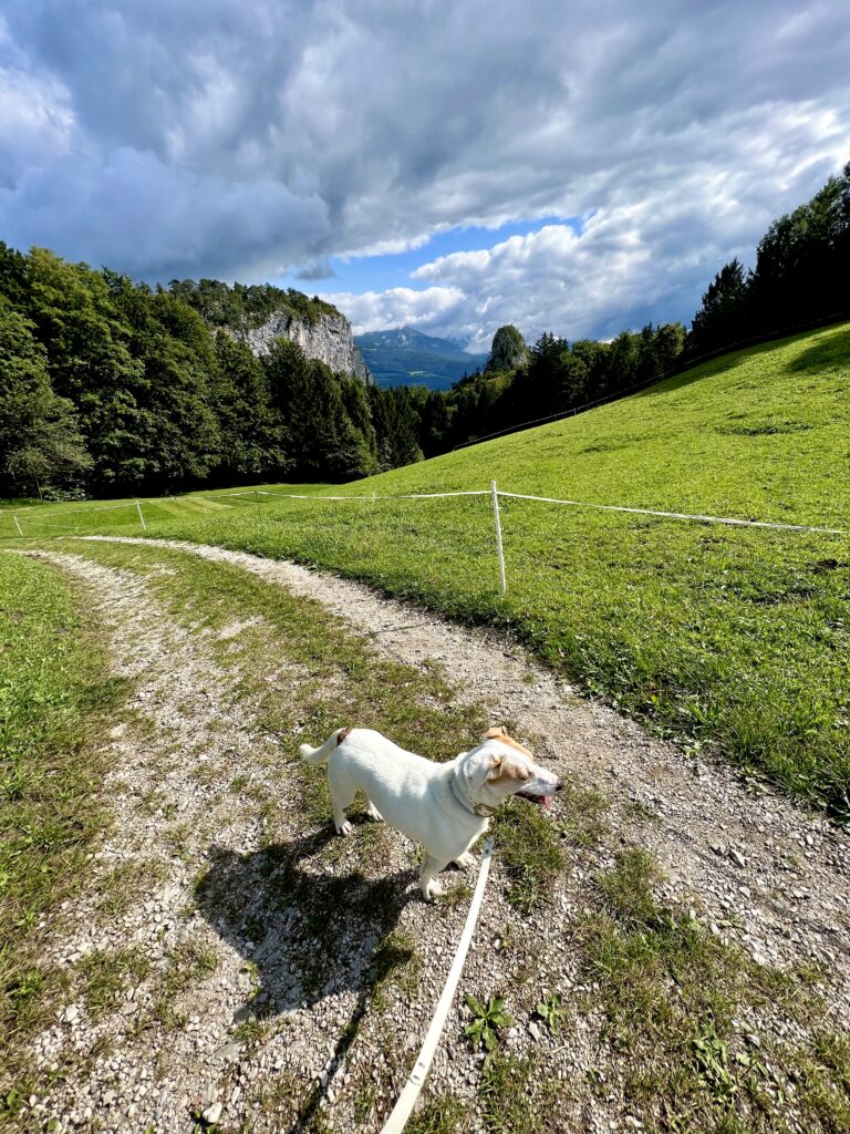 Mehlweg mit Blick auf die Barmsteine