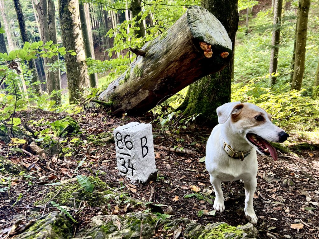 Grenzgang zwischen Salzburg und Bayern