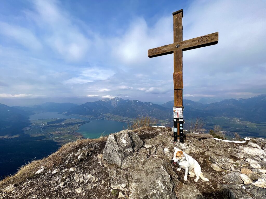 Panorama vom Sparber Gipfel