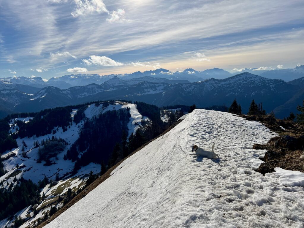 Panorama Schafberg