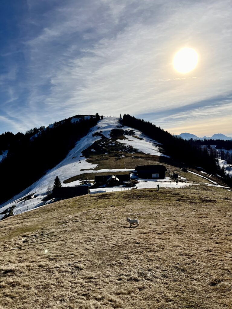 Oberwiesalm unterhalb des Faistenauer Schafbergs