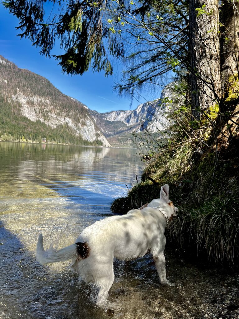 Altausseer See-Badespaß