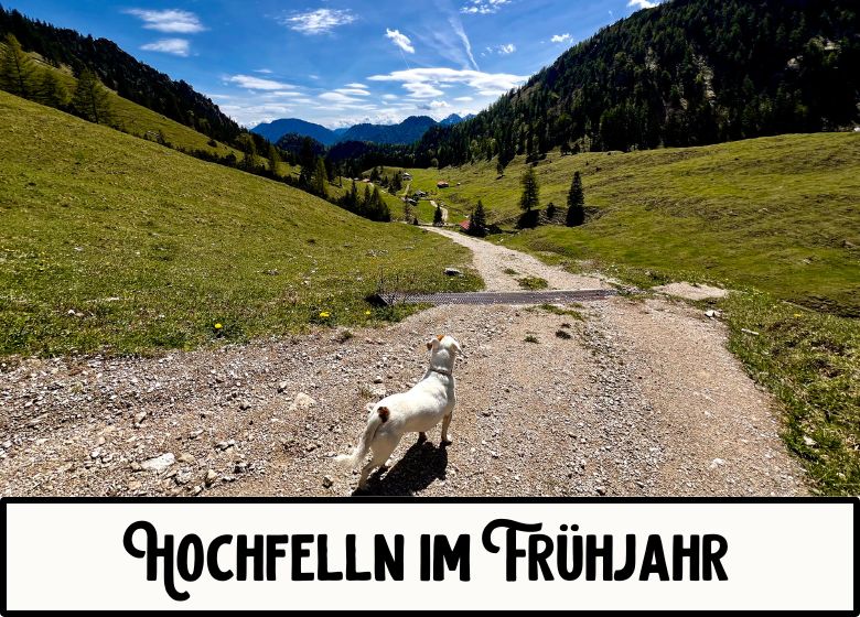 Hochfelln