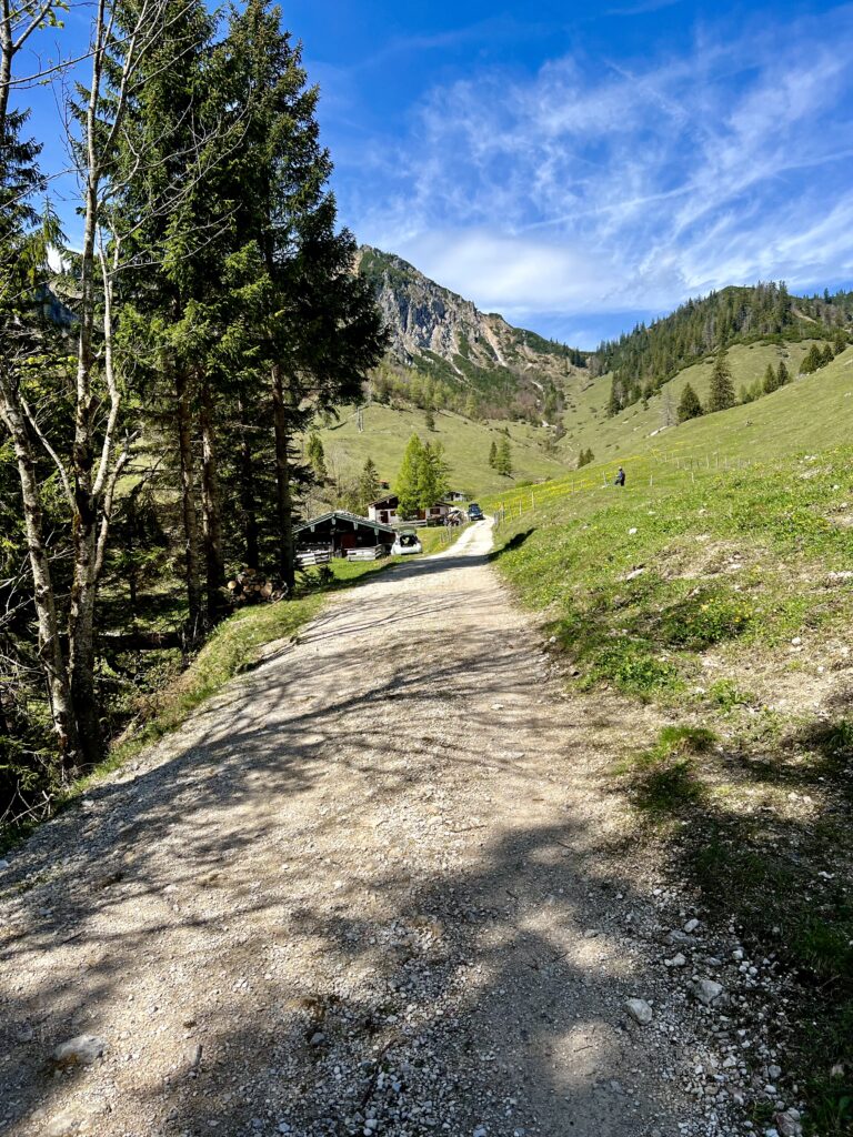 Thoraualm am Hochfelln